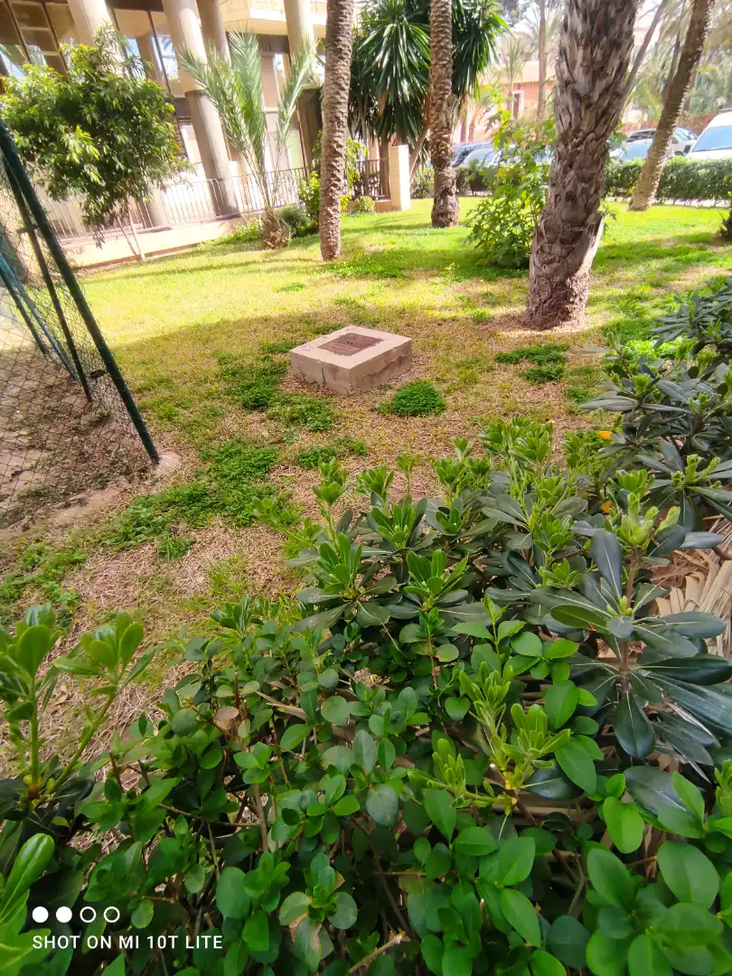 Flat with terrace for sale in Elche ciudad, imagen 23