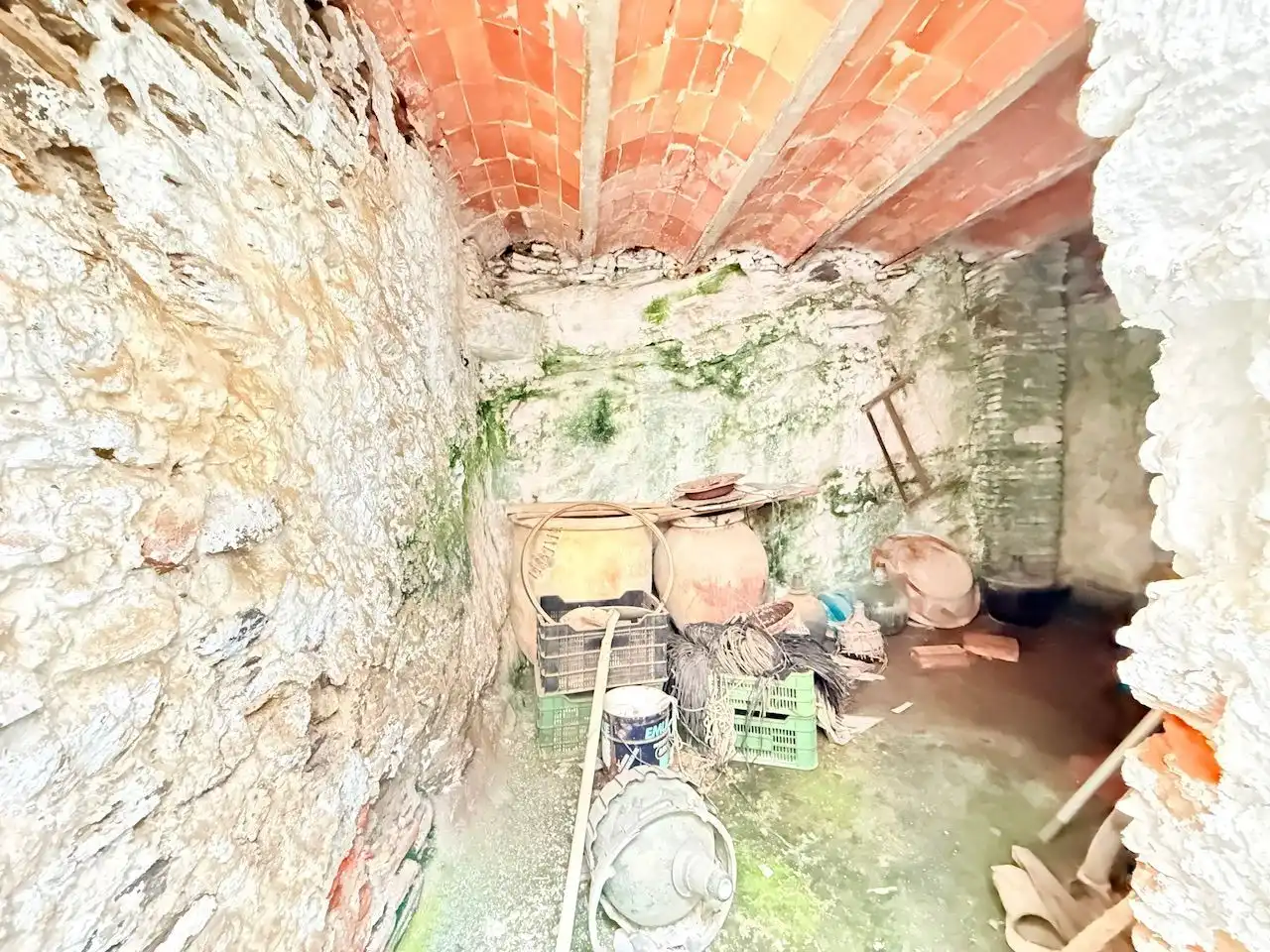 Finca rústica en venta en Torrox