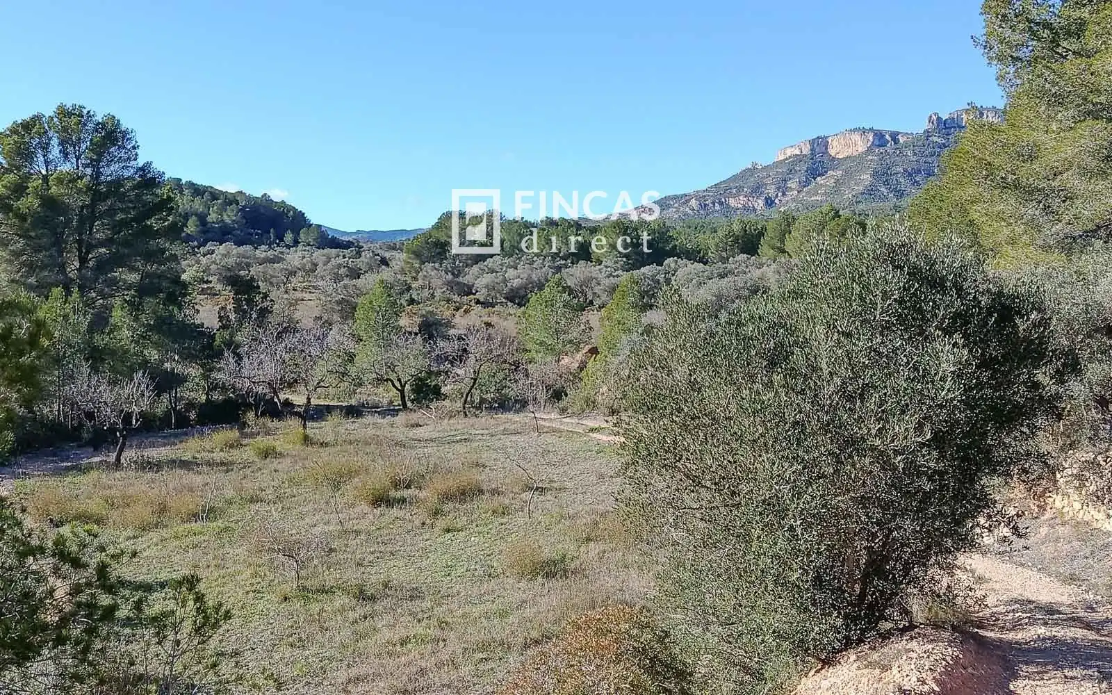 Finca rústica en venta en Miravet
