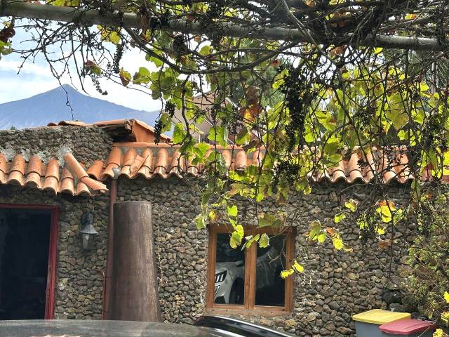 Finca rústica en Alquiler en El Tanque