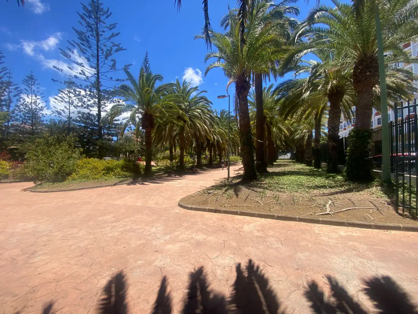 Vista exterior de Piso en venta en Las Palmas de Gran Canaria con Horno y Microondas