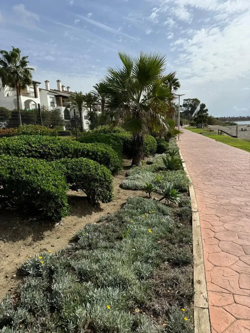 Garden of Apartments for rent in Estepona  with Air Conditioner, Heating and Terrace