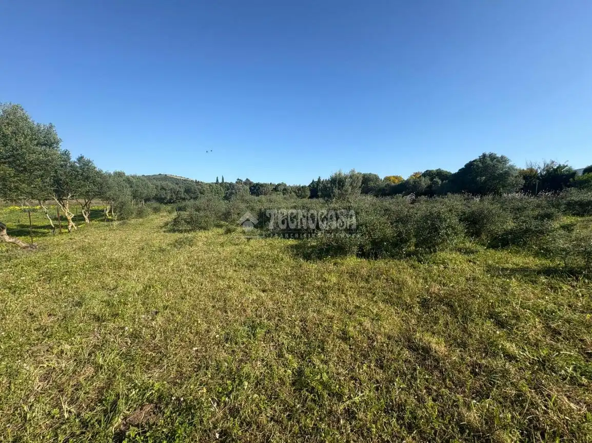Terreno rustico in vendita a Barbate ciudad, imagen 17