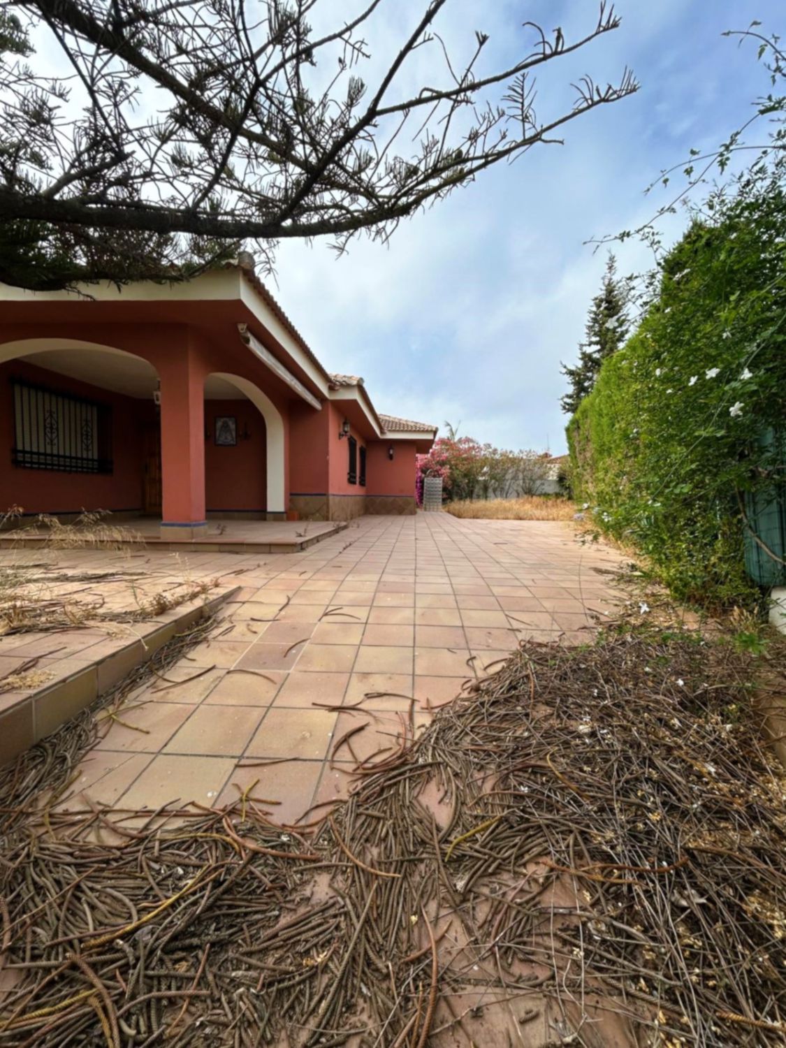 Vista exterior de Casa o xalet en venda en Almonte amb Calefacció i Traster