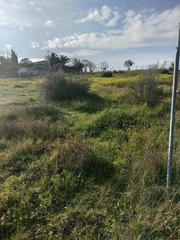 Terreni e lotti in vendita a Oeste, imagen 3