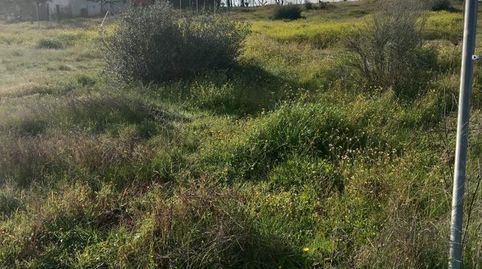 Finca Rústica en El Prado, immagine 3