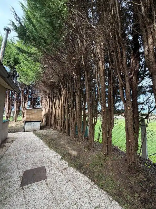 Vista exterior de Casa adosada en venda en Villaviciosa amb Calefacció, Jardí privat i Terrassa