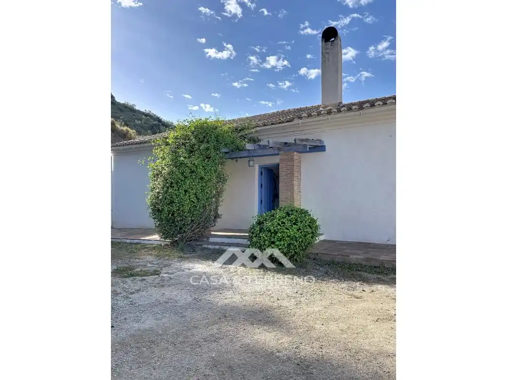 Vista exterior de Casa o xalet en venda en Canillas de Aceituno amb Jardí privat, Terrassa i Piscina