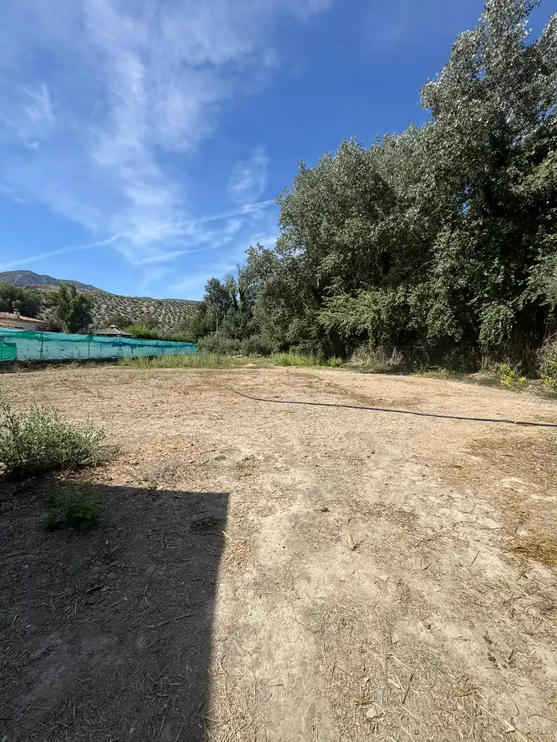 Detached house with pool for sale in Camino de las Huertas Grandes, imagen 3