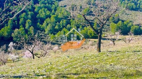 Casa Rural en venta en VélezRubio., immagine 5