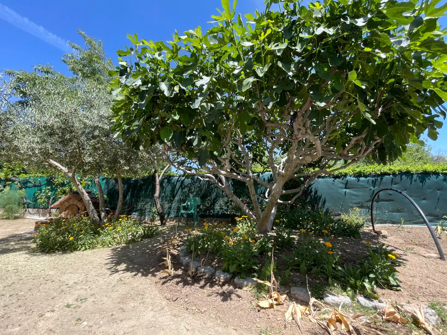 Jardín de Casa o chalet en venta en Colmenar Viejo con Calefacción, Jardín privado y Trastero