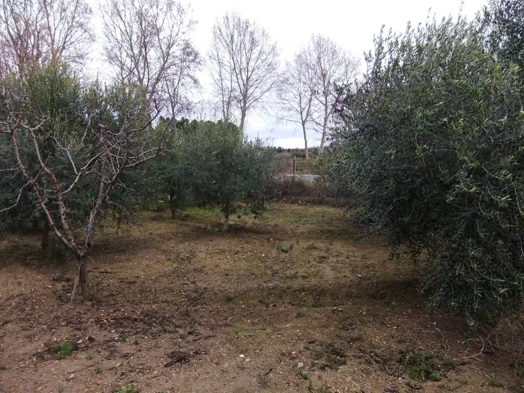 Terreny en venda en Les Borges Blanques