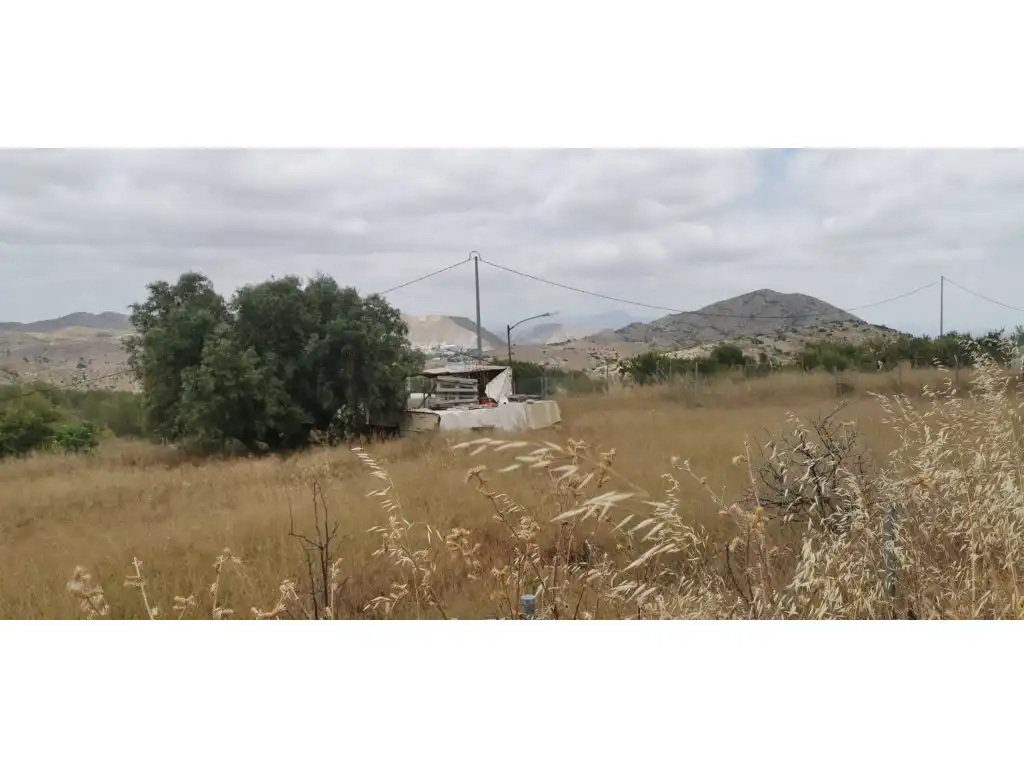 Terrain rustique à vendre à Poligono 7 Paraje 94 Umbria, imagen 11