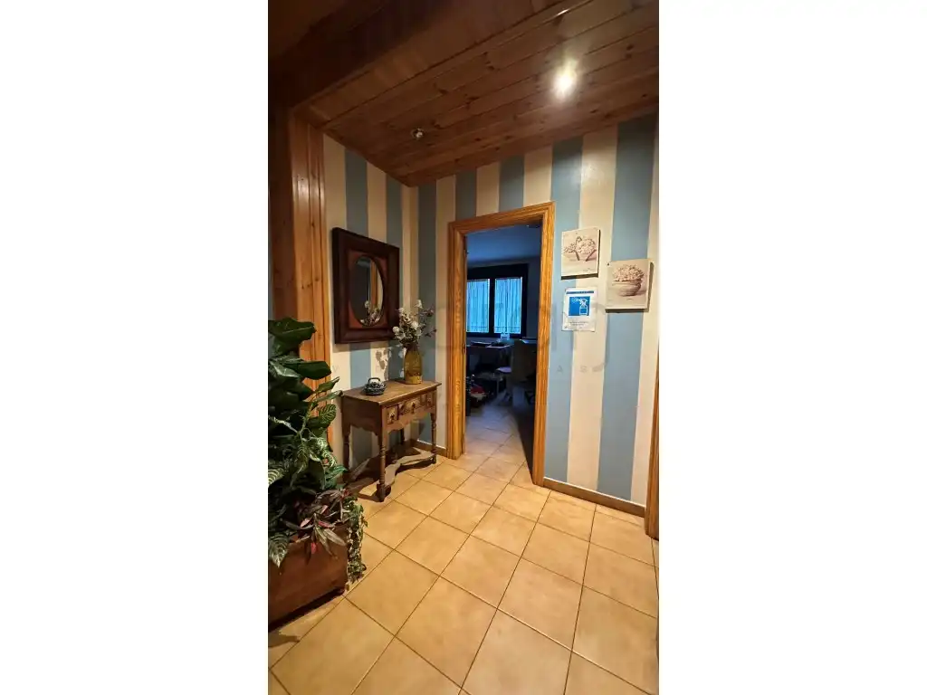 Commercial properties for sale in Bossòst