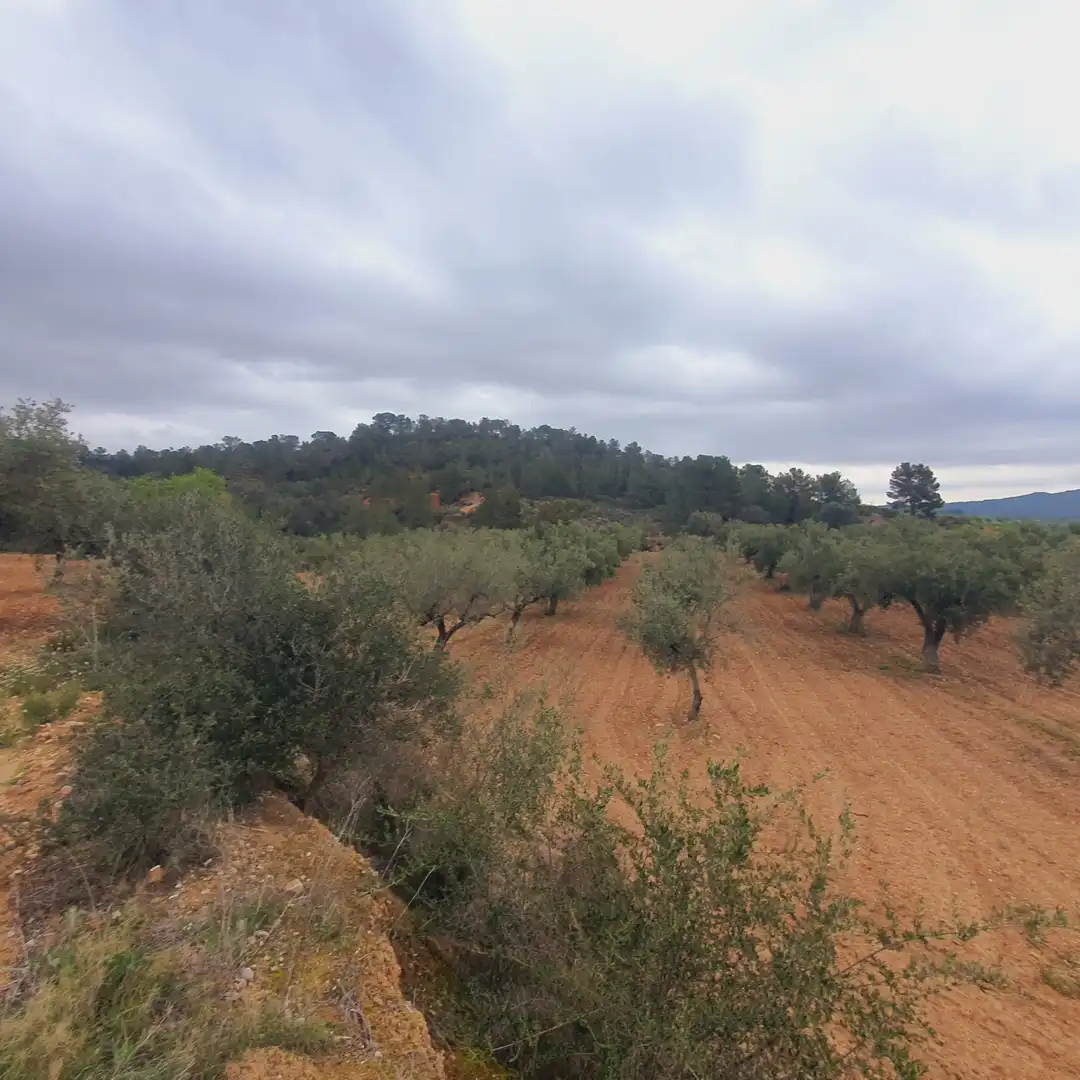 Rustikales Grundstück zum Verkauf in El Pinell de Brai, imagen 10