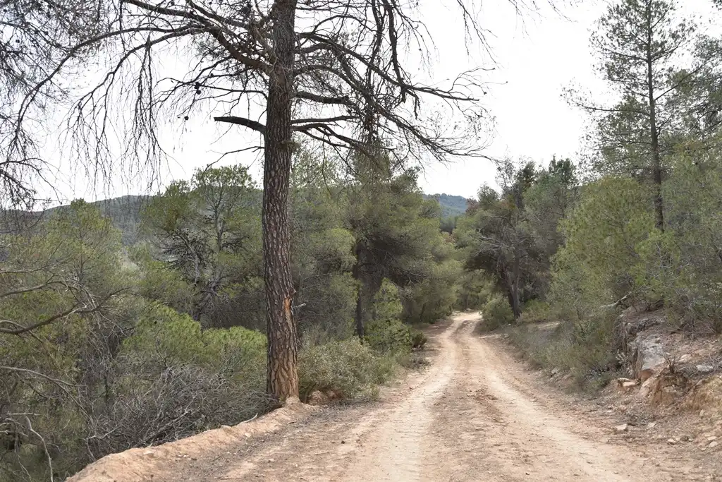 Terreni e lotti in vendita a Arens de Lledó, imagen 5