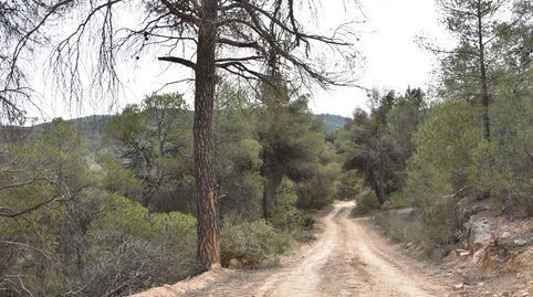 Foto 5 de Terreny en venda a Arens de Lledó, Teruel