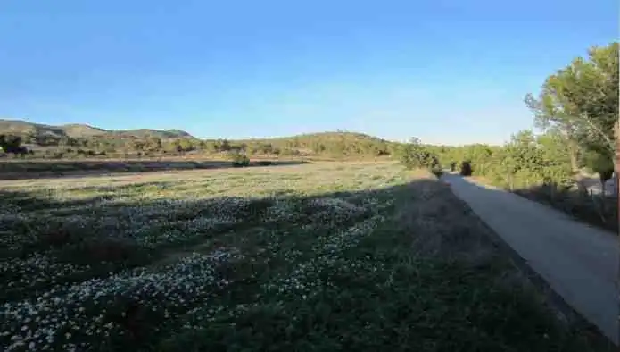 Rural land for sale in Pd Alciri, imagen 13