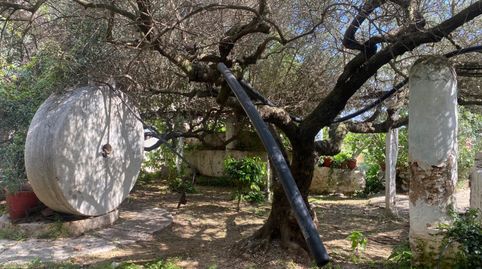 Impresionante finca en el sur de Cataluña, imatge 2