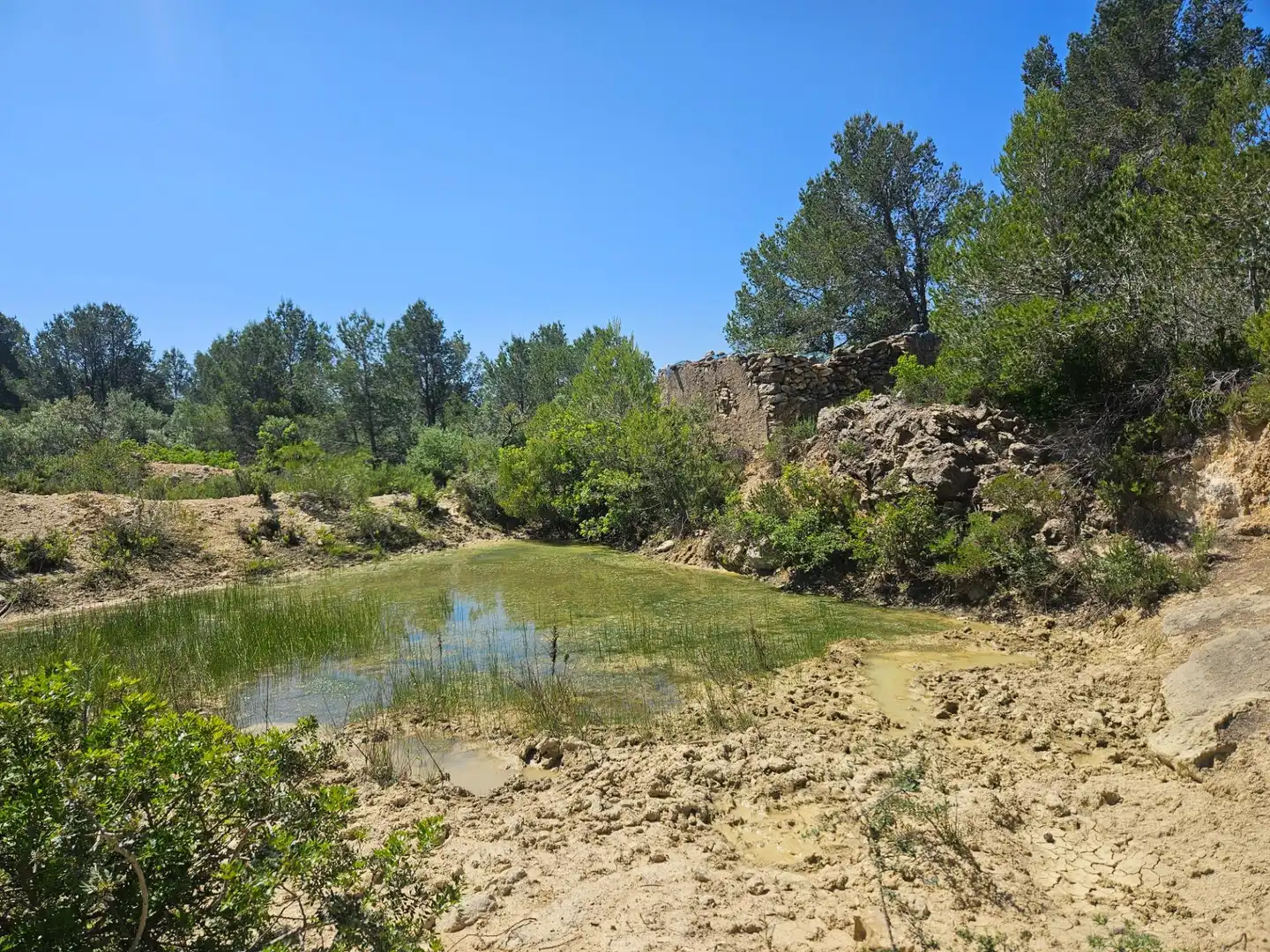 Grundstücke zum Verkauf in L'Ametlla de Mar 