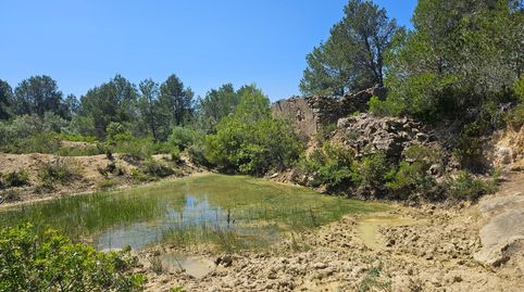 Photo 2 of Land for sale in Roques Daurades - L'Estany, L'Ametlla de Mar
