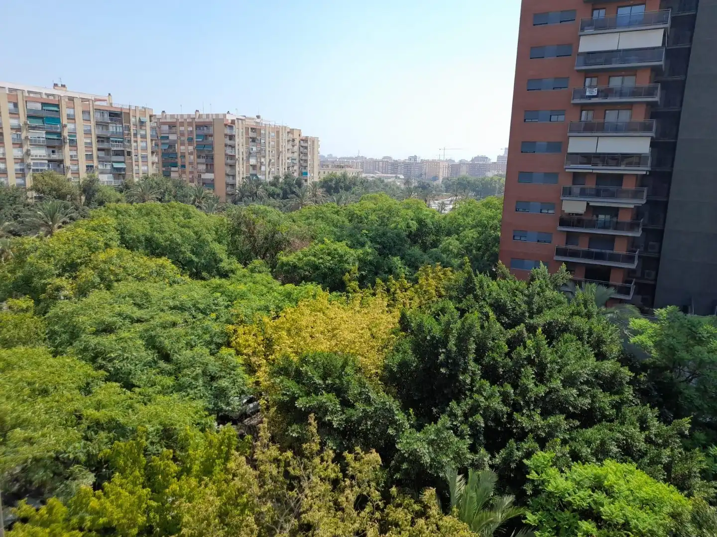 Pis amb terrassa en venda a Calle del Ingeniero José Sirera, imagen 50
