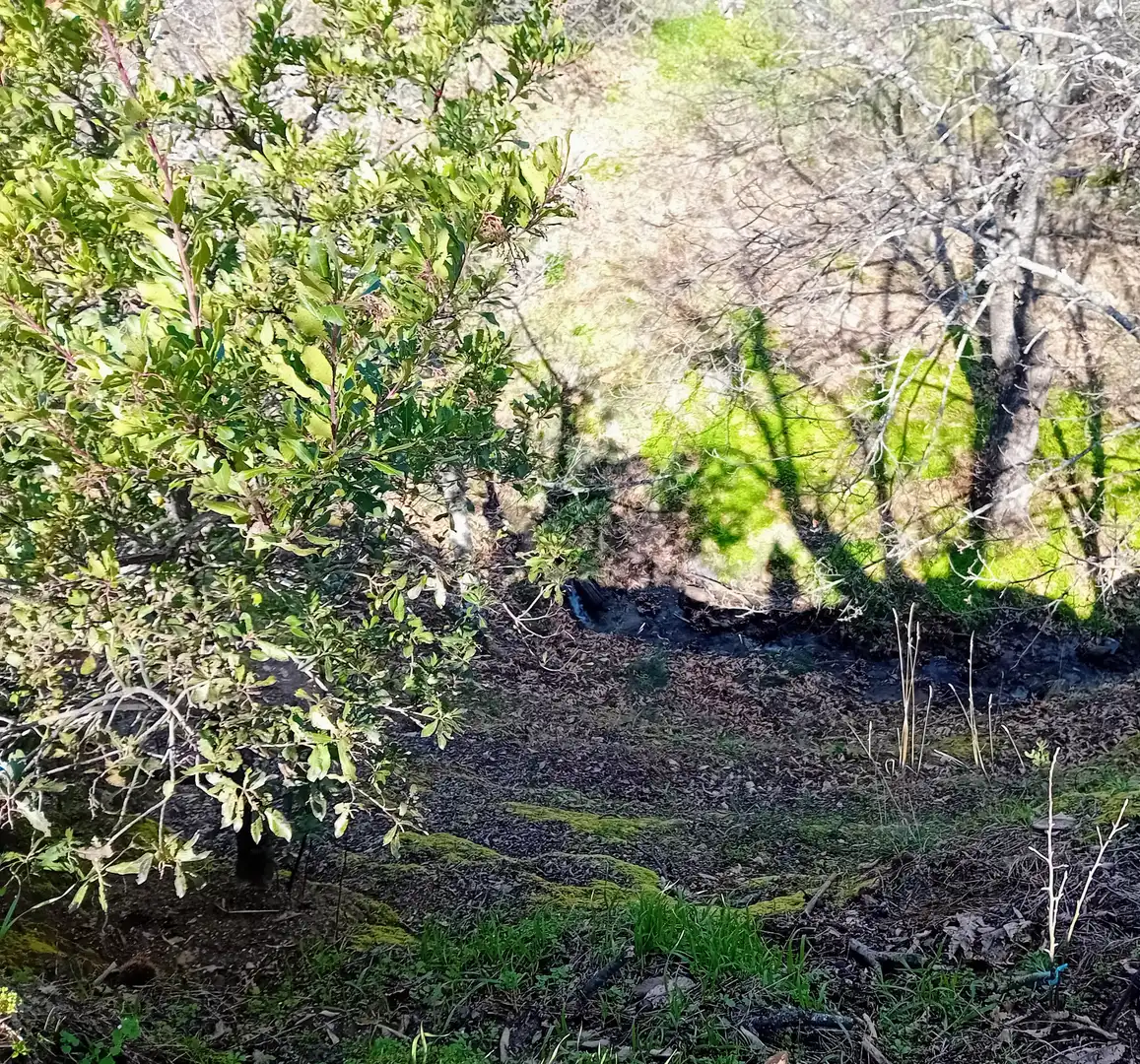 Land for sale in Yunquera