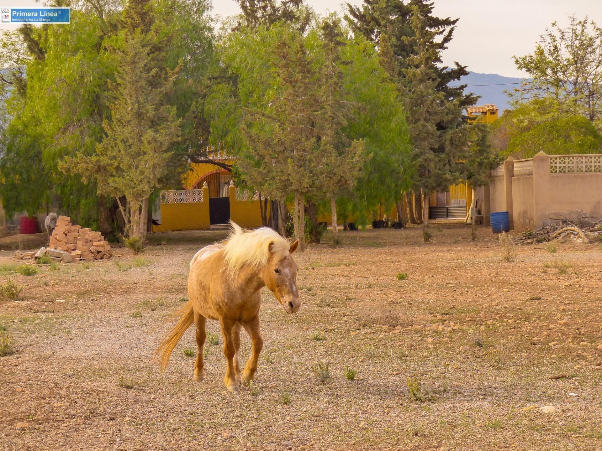 Vista exterior de Finca rústica en venda en Fuente Álamo de Murcia amb Calefacció, Jardí privat i Terrassa