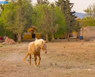 Vista exterior de Finca rústica en venda en Fuente Álamo de Murcia amb Terrassa, Piscina i Balcó