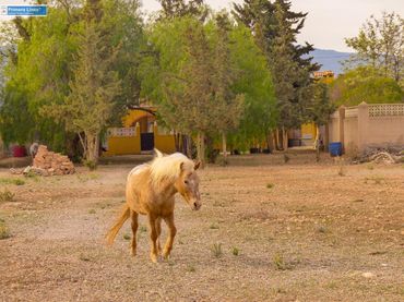 Casa rústica amb balcó en venda a La Pinilla - Las Palas