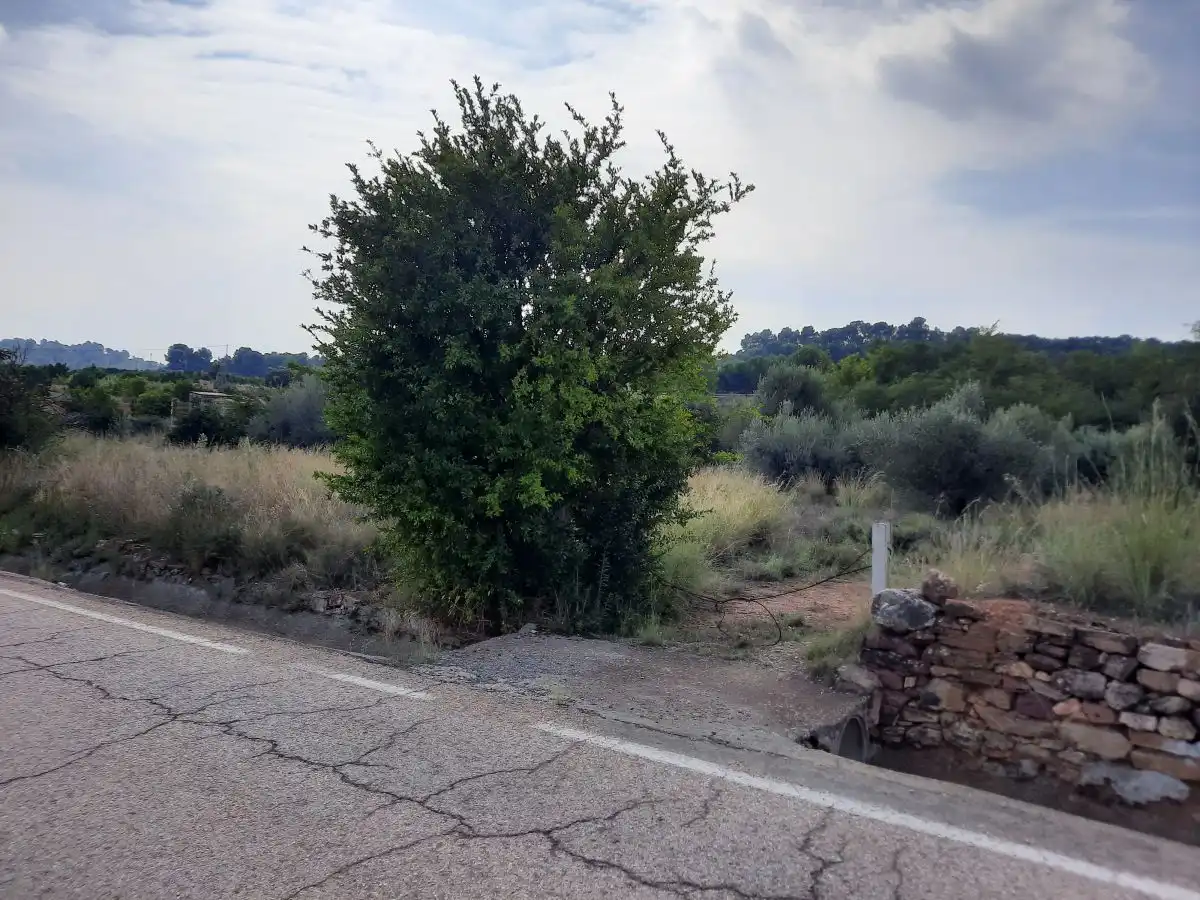 Terreno residencial en venta en Algímia de Alfara, imagen 5