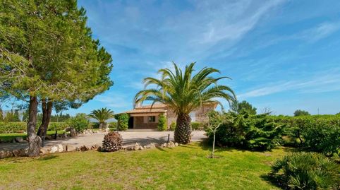 Foto 5 de Casa o xalet de lloguer a Pollença - Carrer de Mena, Pollença Poble, Pollença