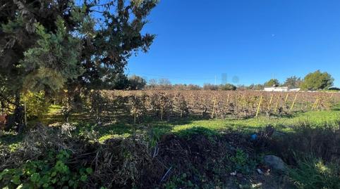 Foto 4 de Residencial en venda a Picadueñas, Cádiz