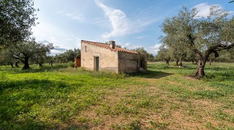 Foto 2 de Terreno en venta en Carrer Verge Font de la Salut, 3, Traiguera, Castellón