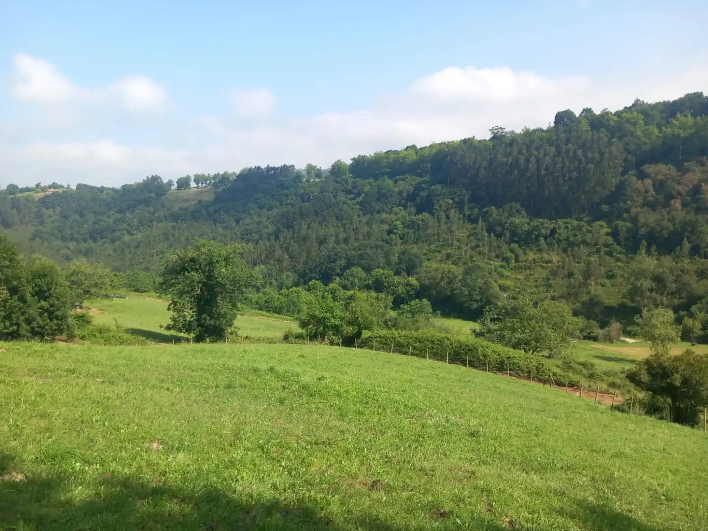 Terreni e lotti in vendita a Labarces - La Cardosa 21, imagen 6