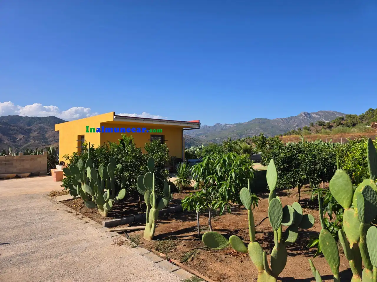 Terrenos y solares en venta en N/A, imagen 6
