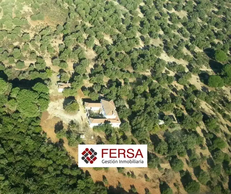 Chalet en venta en Arcos de la Frontera