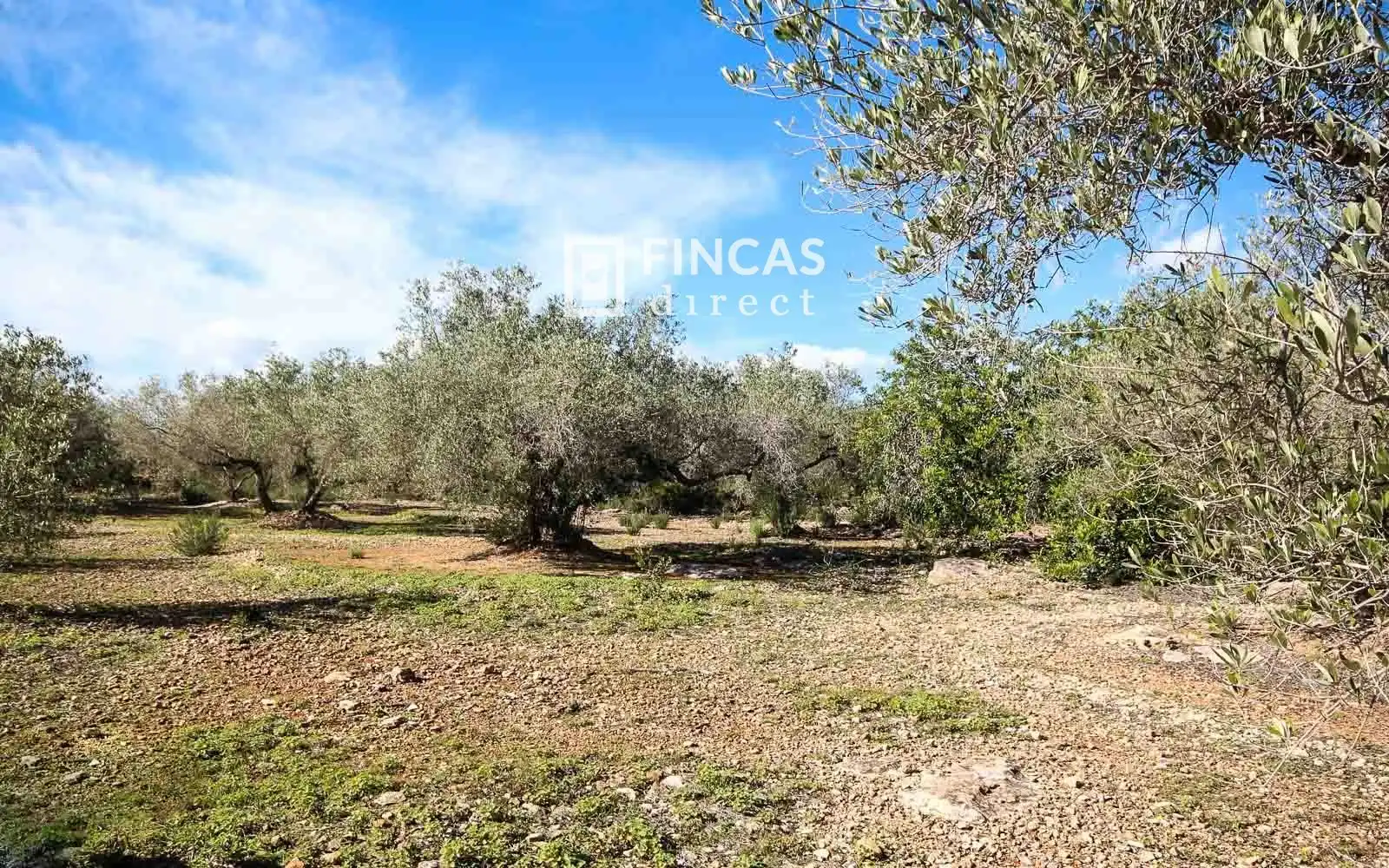 Finca rústica en venda en Camarles amb Terrassa i Moblat