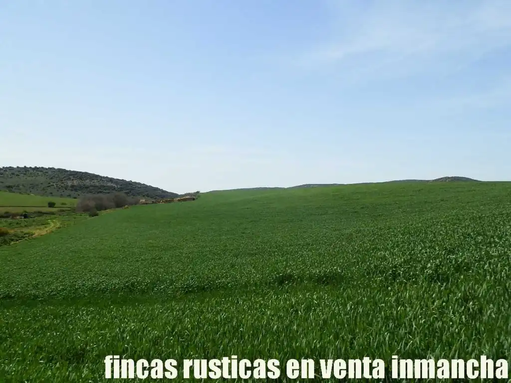 Terreno rustico in vendita a Centro - Plaza Mayor, imagen 11