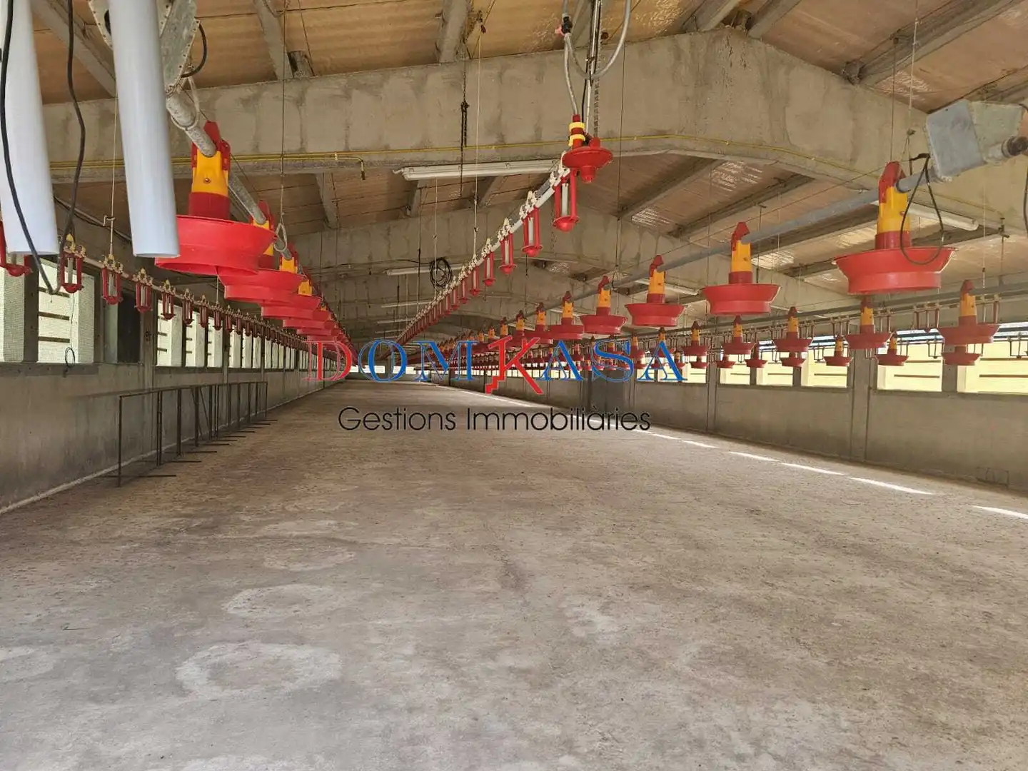Exterior view of Industrial buildings for sale in Xerta