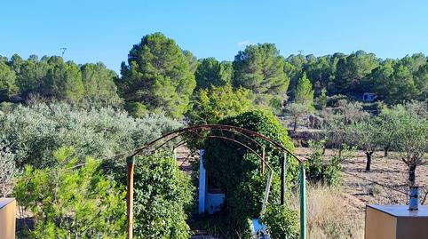 Foto 2 de Finca rústica en venda a Monóvar  / Monòver, Alicante