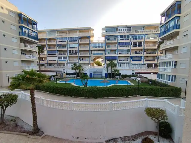 Piscina de Piso de alquiler en Elche / Elx con Terraza, Amueblado y Piscina comunitaria