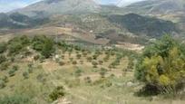 Terreny en venda en Álora