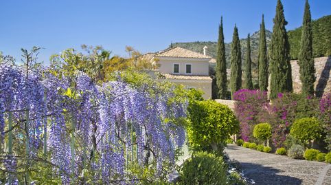 Photo 4 of Houses for sale in Carretera, 1, Montemayor - Marbella Club, Benahavís