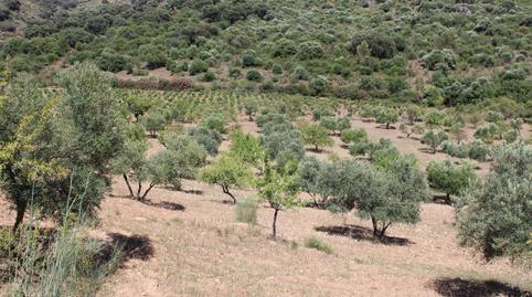 Foto 5 de Casa o xalet en venda a La Donaira, el Gastor, Montecorto, Málaga