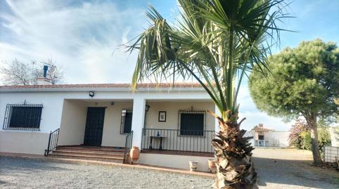 Photo 4 of Country house for sale in Los Santos de Maimona, Badajoz