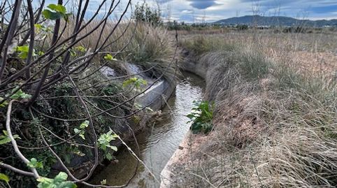 Foto 5 von Grundstücke zur Miete in Benaguasil, Valencia