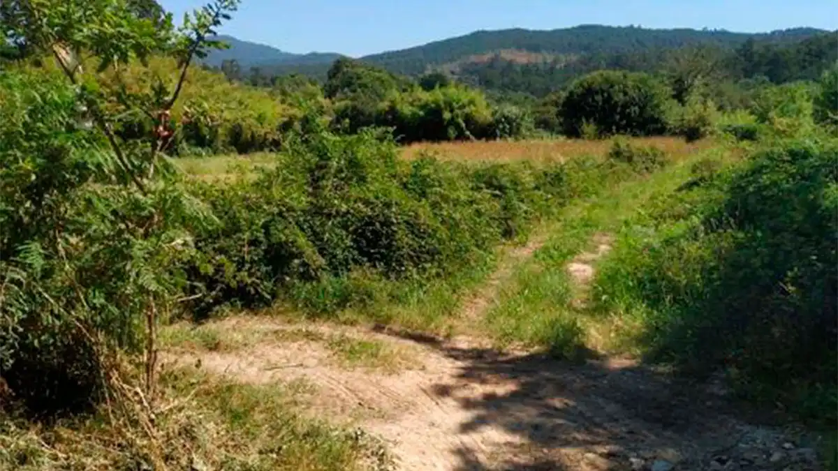 Terreny rústic en venda a Lugar Souto 12, imagen 4
