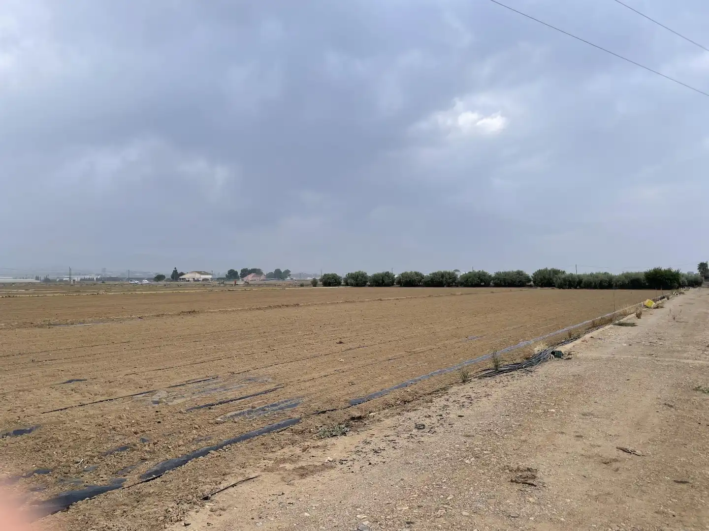 Lands and plots for sale in de Bodega, imagen 6