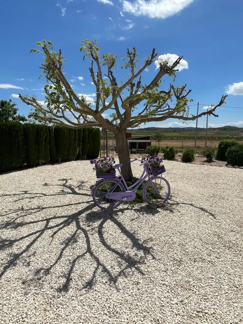 Villa à vendre à El Pinós / Pinoso, imagen 37